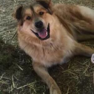 Meet your Posher, Tanja